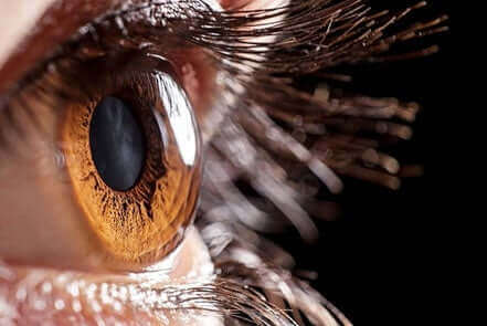 Bruin oog