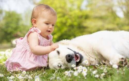 Deze baby is niet bang voor dieren