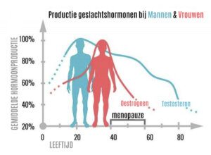 Wat zijn geslachtshormonen en wat doen ze?