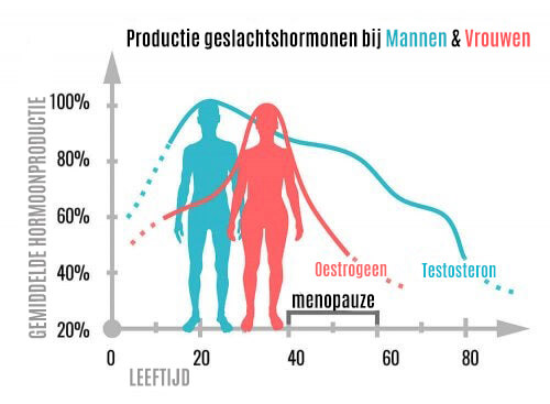 Wat zijn geslachtshormonen en wat doen ze?