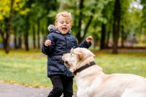 Mijn kind is bang voor dieren, wat moet ik doen?