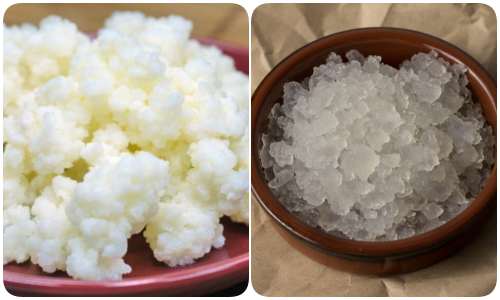 Recept voor waterkefir