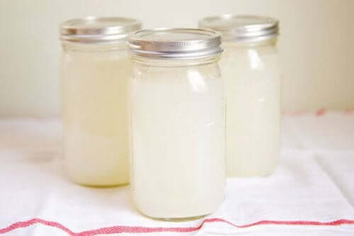 Wat is waterkefir