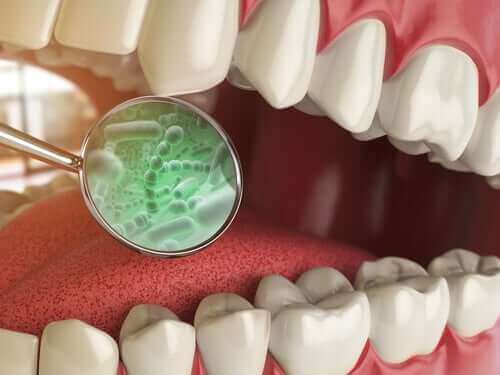 Wat voor soort bacteriën zitten er in je mond?