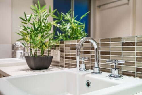 Bamboe tussen twee wasbakken