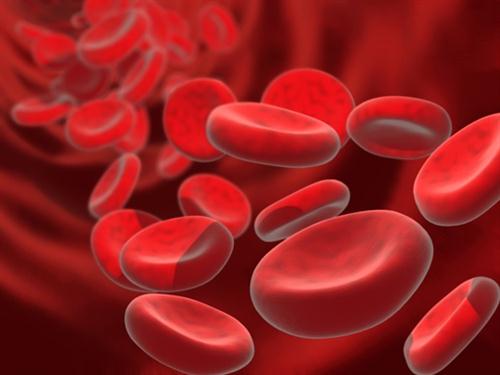 Rode bloedcellen in de bloedbaan