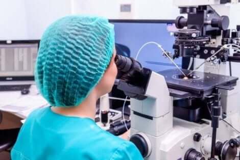 in-vitrofertilisatie