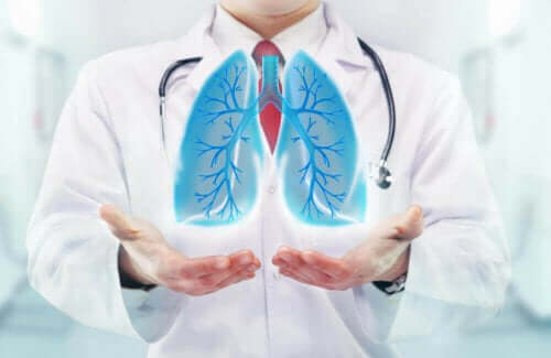 Arts laat de functie van longen zien