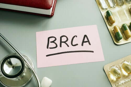 BRCA1 en BRCA2