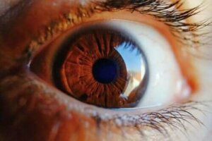 Ontdek hoe het oog zichzelf reinigt