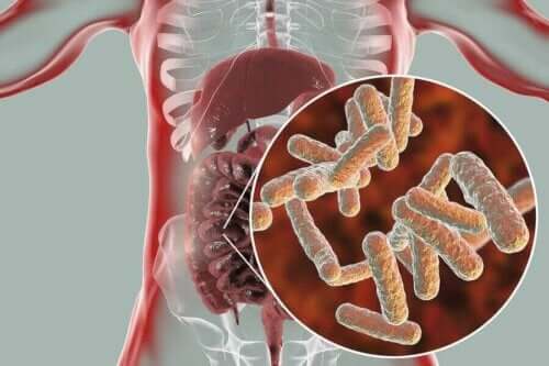 Darmen en ingezoomd op het microbioom