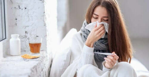Vlierbessen tegen griep en verkoudheid