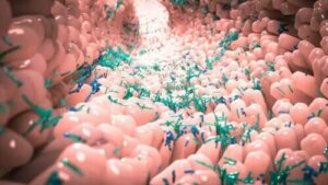 Wat is een normaal microbioom?