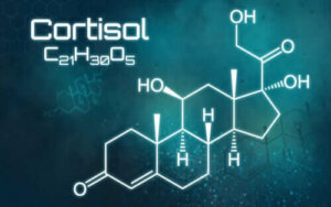 Alles wat je moet weten over een overschot aan cortisol
