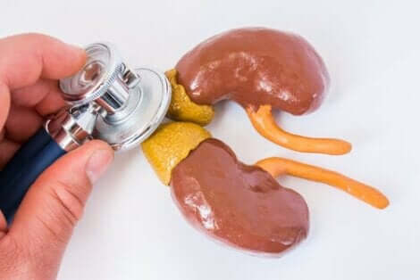 Een stethoscoop die enkele nierklieren controleert