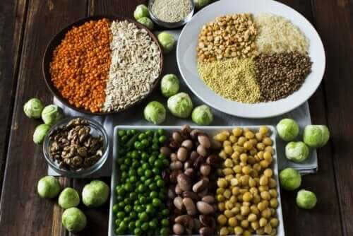 Plantaardige eiwitbronnen