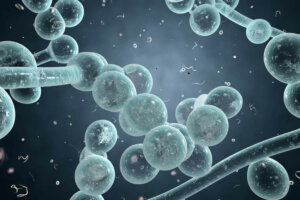 Natuurlijke remedies voor de symptomen van candidiasis
