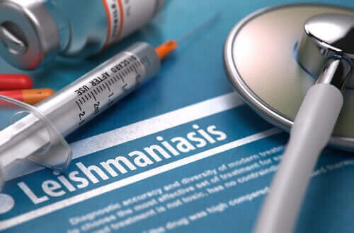 Wat is Leishmaniasis of zandmugziekte precies?