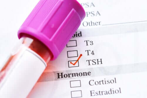 Wat is het schildklierstimulerend hormoon (TSH)?