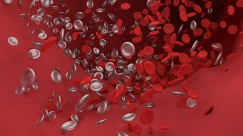 Een afbeelding van rode bloedcellen