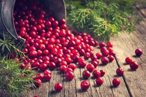 Een emmer vol cranberry's