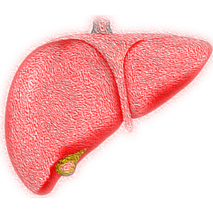 Wereld Hepatitis Dag: een ziekte die te voorkomen is