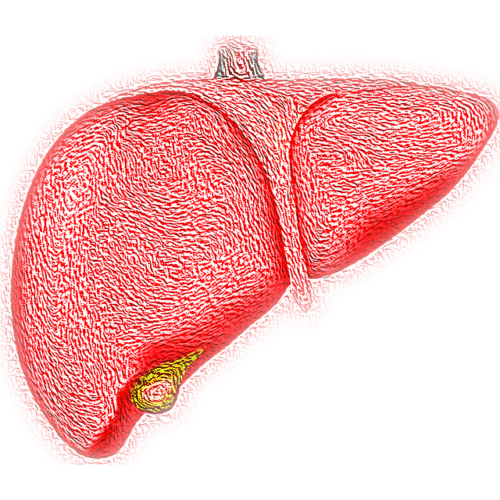 Wereld Hepatitis Dag: een ziekte die te voorkomen is
