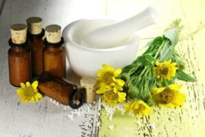 Het gebruik van arnica: voordelen en contra-indicaties