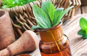 De 15 beste medicinale planten