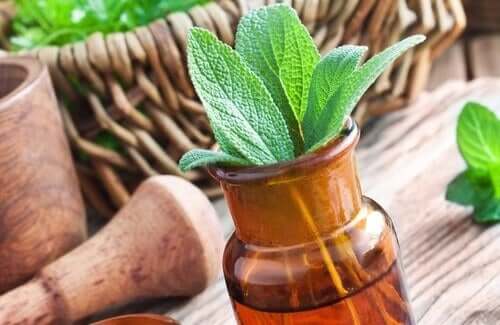 De 15 beste medicinale planten
