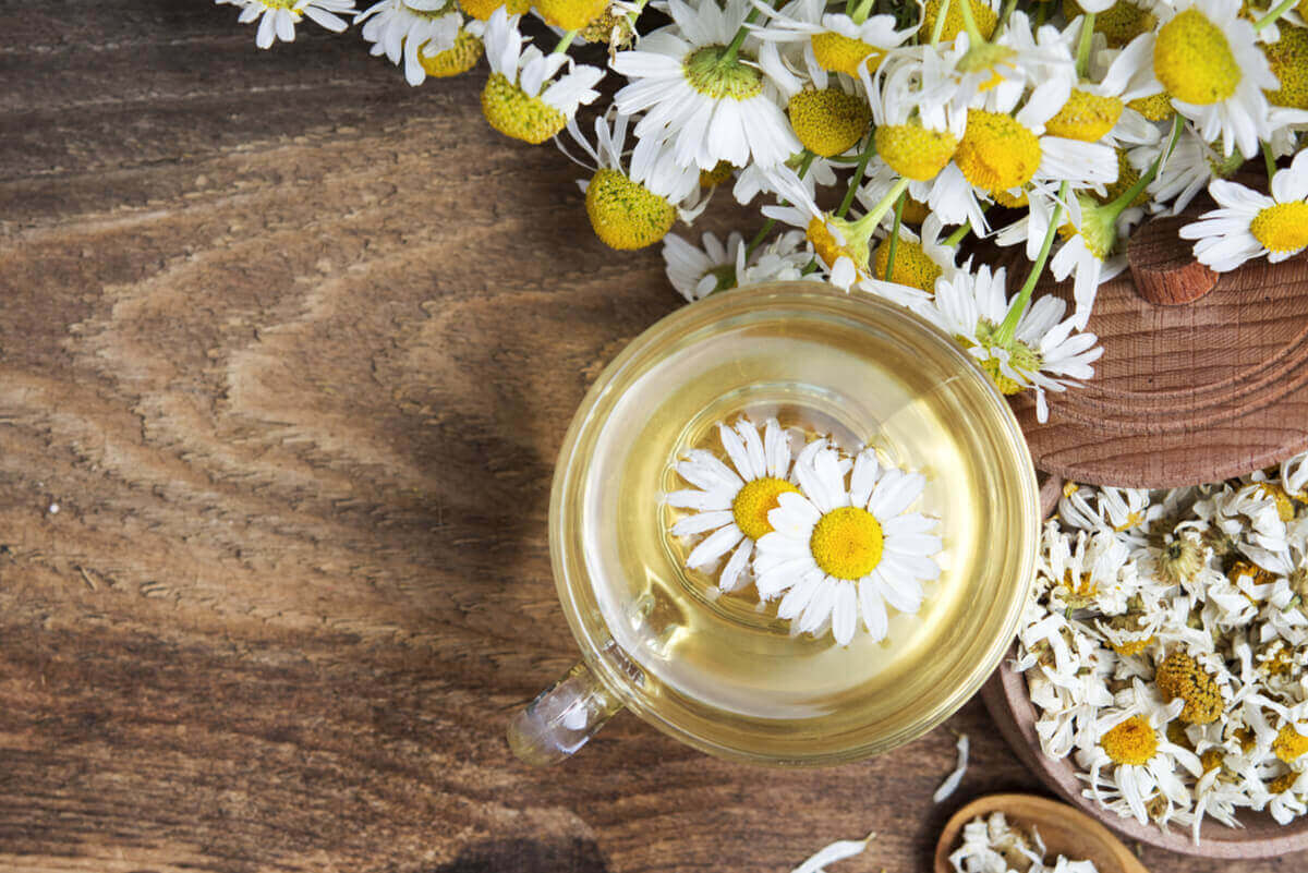 Kopje verse kamillethee