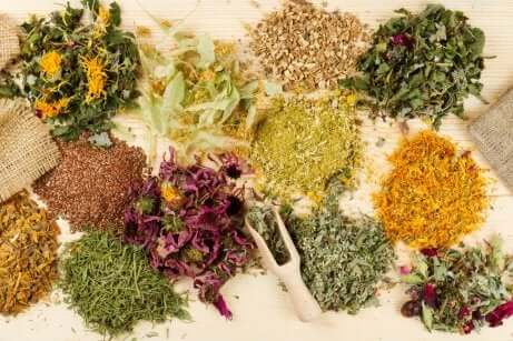 Medicinale planten