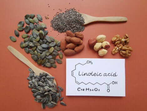 Noten en zaden die linolzuur bevatten