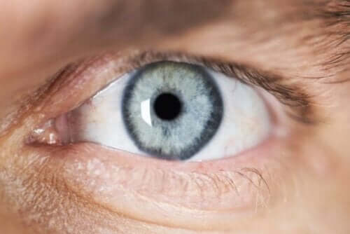Close-up van een oog