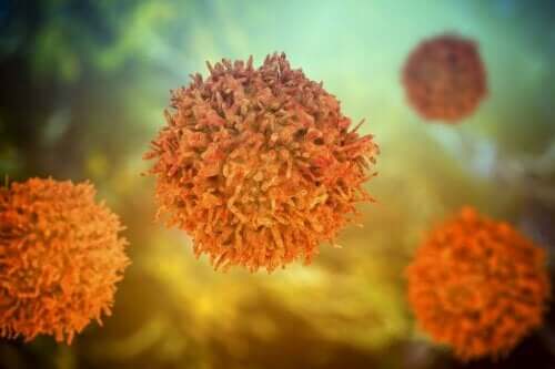 Hoe gaat verworven immuniteit in zijn werk