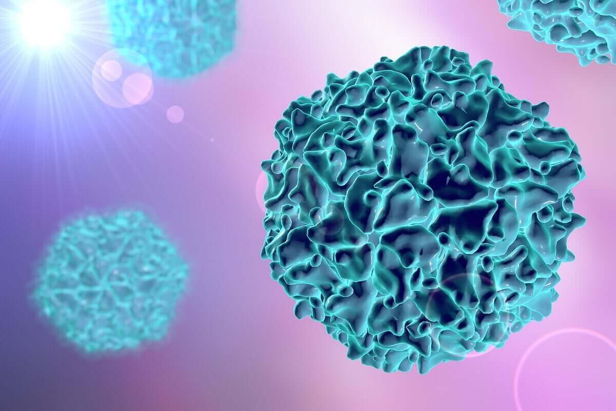 Het poliovirus en het poliovaccin