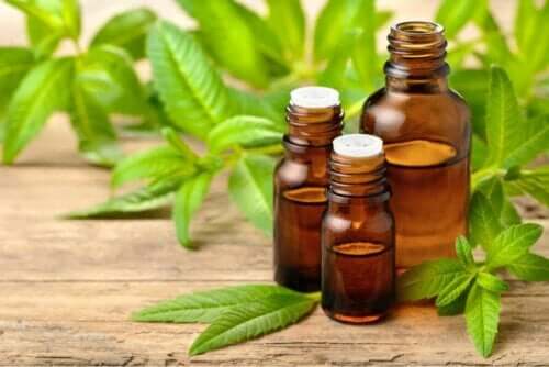 Verbena-olie in flesjes