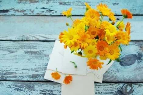 Goudsbloemen