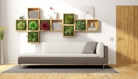 Kamerplanten op een plank aan de muur
