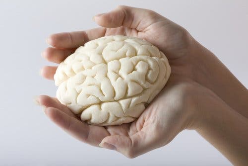 Iemand die hersenen vasthoudt