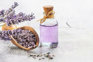 De 6 beste geneeskrachtige planten met wetenschappelijk bewijs