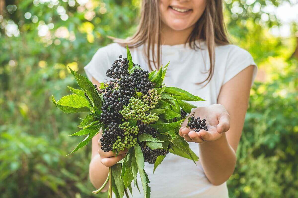 Meisje met bosje bessen