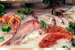 Alles over de effecten van kwik in vis