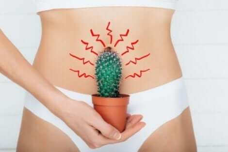 Vrouw met cactus voor haar buik