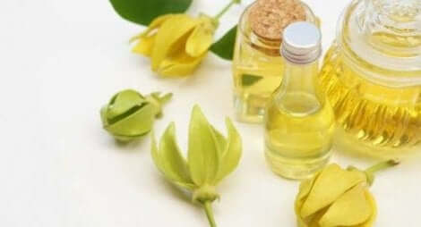 Ylang-ylang-olie om angsten onder controle te houden