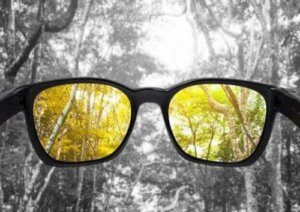 Het gebrekkig zien van kleuren of kleurenblindheid