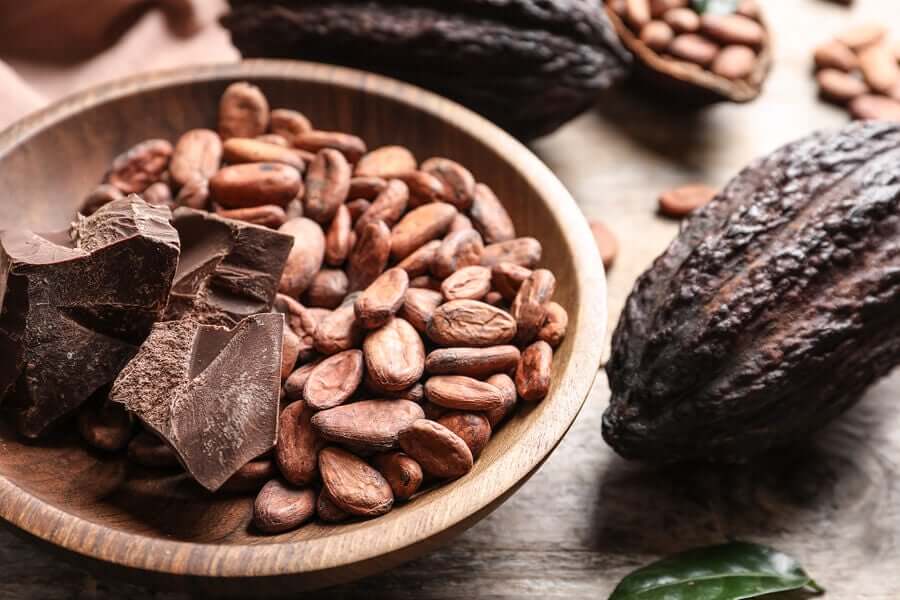Cacaobonen en chocolaatjes