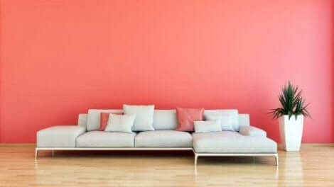 Kamer met roze muur en roze kussens op de bank