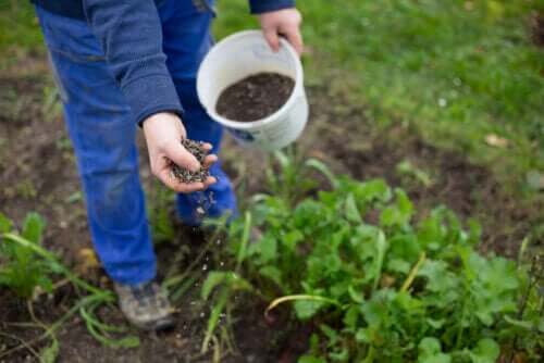 Een persoon die buiten zaden plant