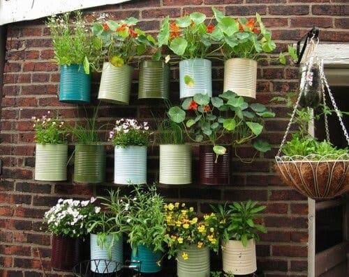 Planten aan de muur